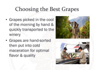 Choosing 
the 
Best 
Grapes 
• Grapes picked in the cool 
of the morning by hand & 
quickly transported to the 
winery 
• Grapes are hand-sorted 
then put into cold 
maceration for optimal 
flavor & quality 
 