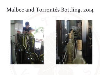 Malbec 
and 
Torrontés 
Bottling, 
2014 
 