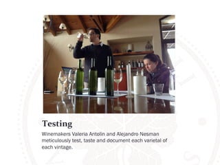 Testing 
Winemakers Valeria Antolin and Alejandro Nesman 
meticulously test, taste and document each varietal of 
each vintage. 
 