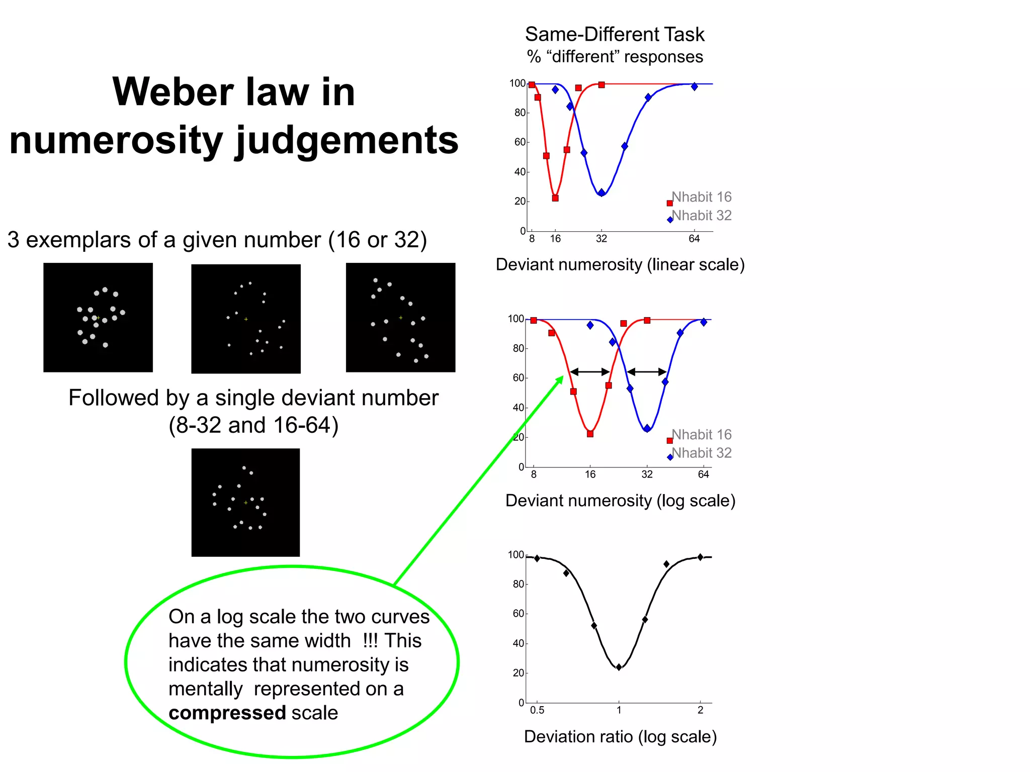Weber law in                                100

                                                 80


numerosity judgements                            60

                                                 40

                                                 20                                 Nhabit 16
                                                                                    Nhabit 32
                                                  0
3 exemplars of a given number (16 or 32)              8     16        32              64

                                               Deviant numerosity (linear scale)


                                                100

                                                 80

                                                 60

     Followed by a single deviant number         40

              (8-32 and 16-64)                   20                                 Nhabit 16
                                                                                    Nhabit 32
                                                  0
                                                      8          16            32      64

                                                Deviant numerosity (log scale)


                                                100

                                                 80


               On a log scale the two curves     60

               have the same width !!! This      40

               indicates that numerosity is      20
               mentally represented on a
                                                  0
               compressed scale                       0.5                  1           2

                                                  Deviation ratio (log scale)
 
