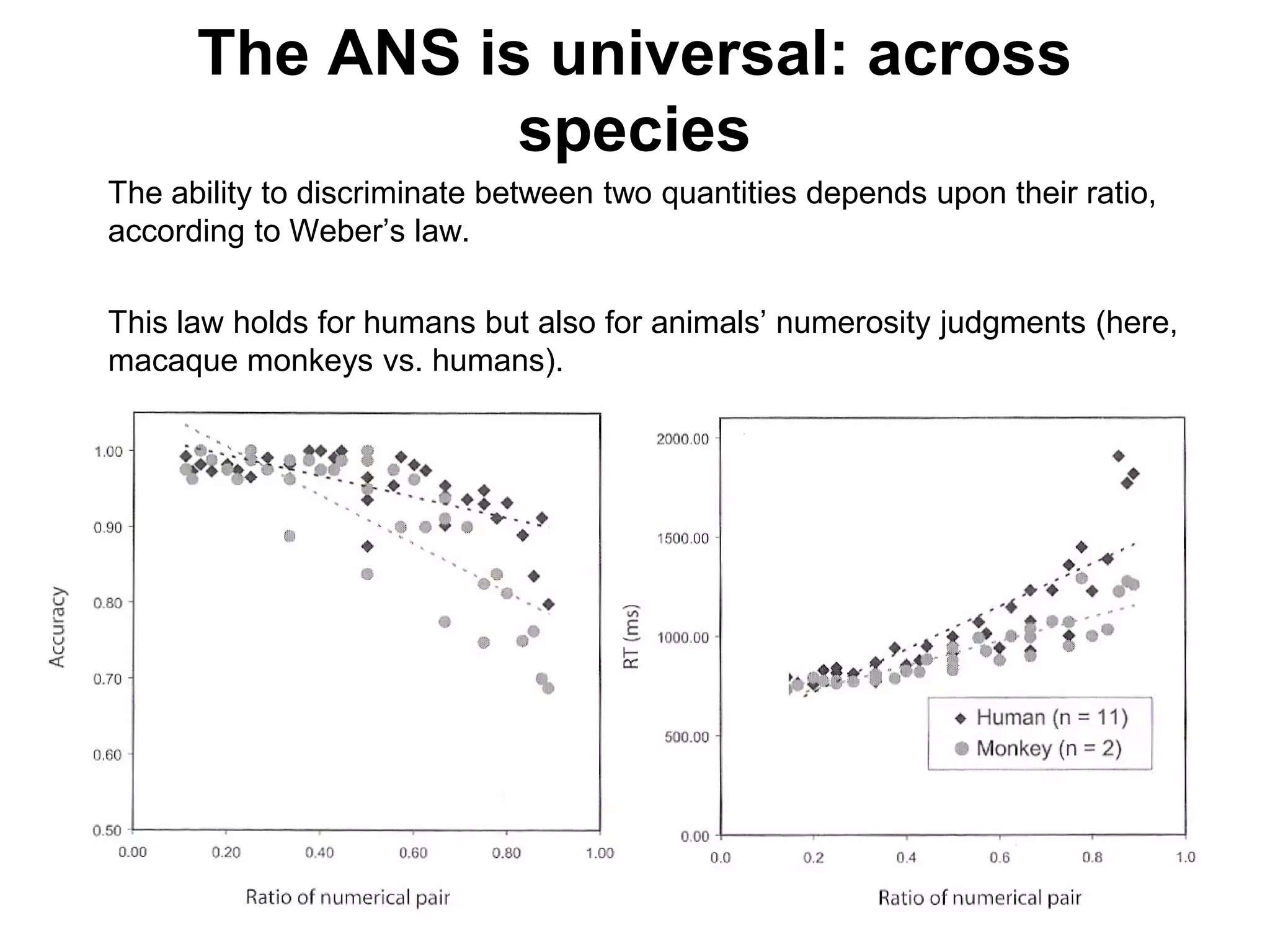 The ANS is universal: across
                species
The ability to discriminate between two quantities depends upon their ratio,
according to Weber’s law.

This law holds for humans but also for animals’ numerosity judgments (here,
macaque monkeys vs. humans).
 