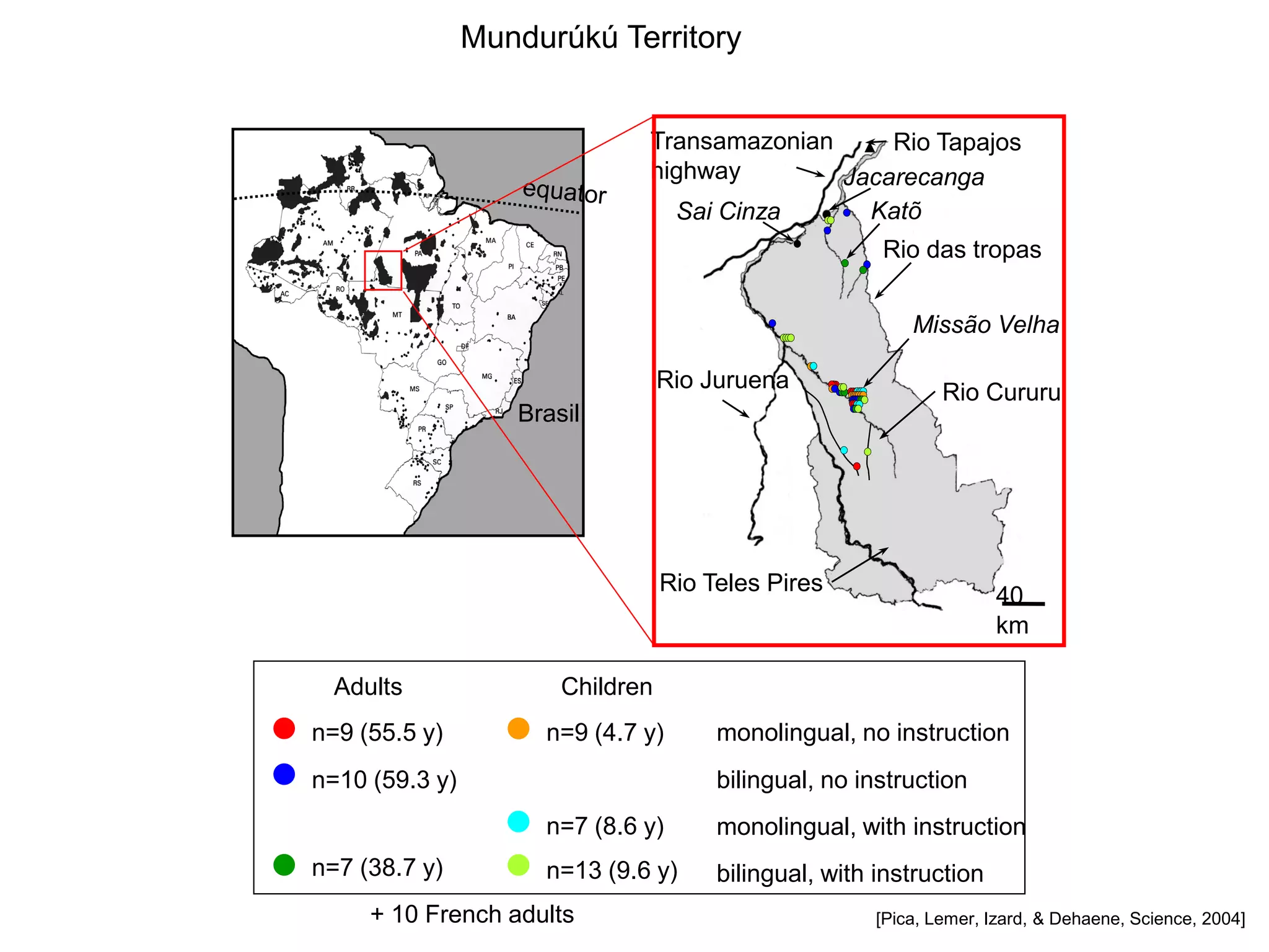 Mundurúkú Territory


                              Transamazonian     Rio Tapajos
                              highway        Jacarecanga
                                Sai Cinza      Katõ
                                                       Rio das tropas


                                                           Missão Velha

                                  Rio Juruena                  Rio Cururu
                   Brasil




                                  Rio Teles Pires
                                                                     40
                                                                     km

  Adults               Children
n=9 (55.5 y)         n=9 (4.7 y)       monolingual, no instruction
n=10 (59.3 y)                          bilingual, no instruction
                     n=7 (8.6 y)       monolingual, with instruction
n=7 (38.7 y)         n=13 (9.6 y)      bilingual, with instruction
     + 10 French adults                                [Pica, Lemer, Izard, & Dehaene, Science, 2004]
 