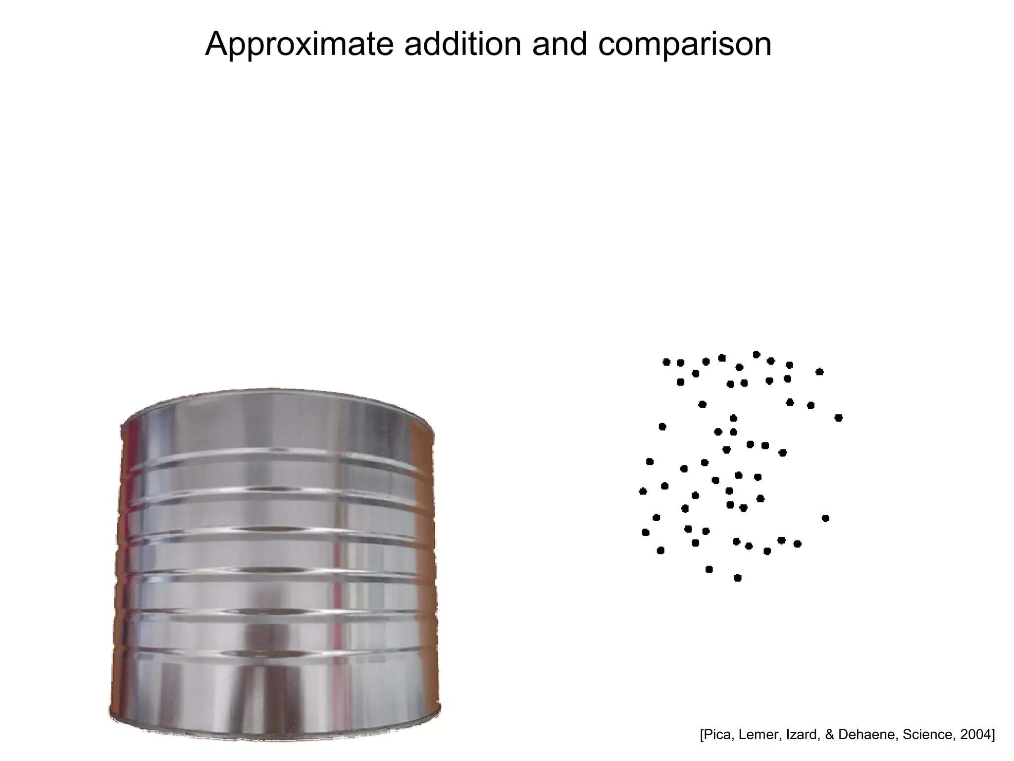 Approximate addition and comparison




                              [Pica, Lemer, Izard, & Dehaene, Science, 2004]
 