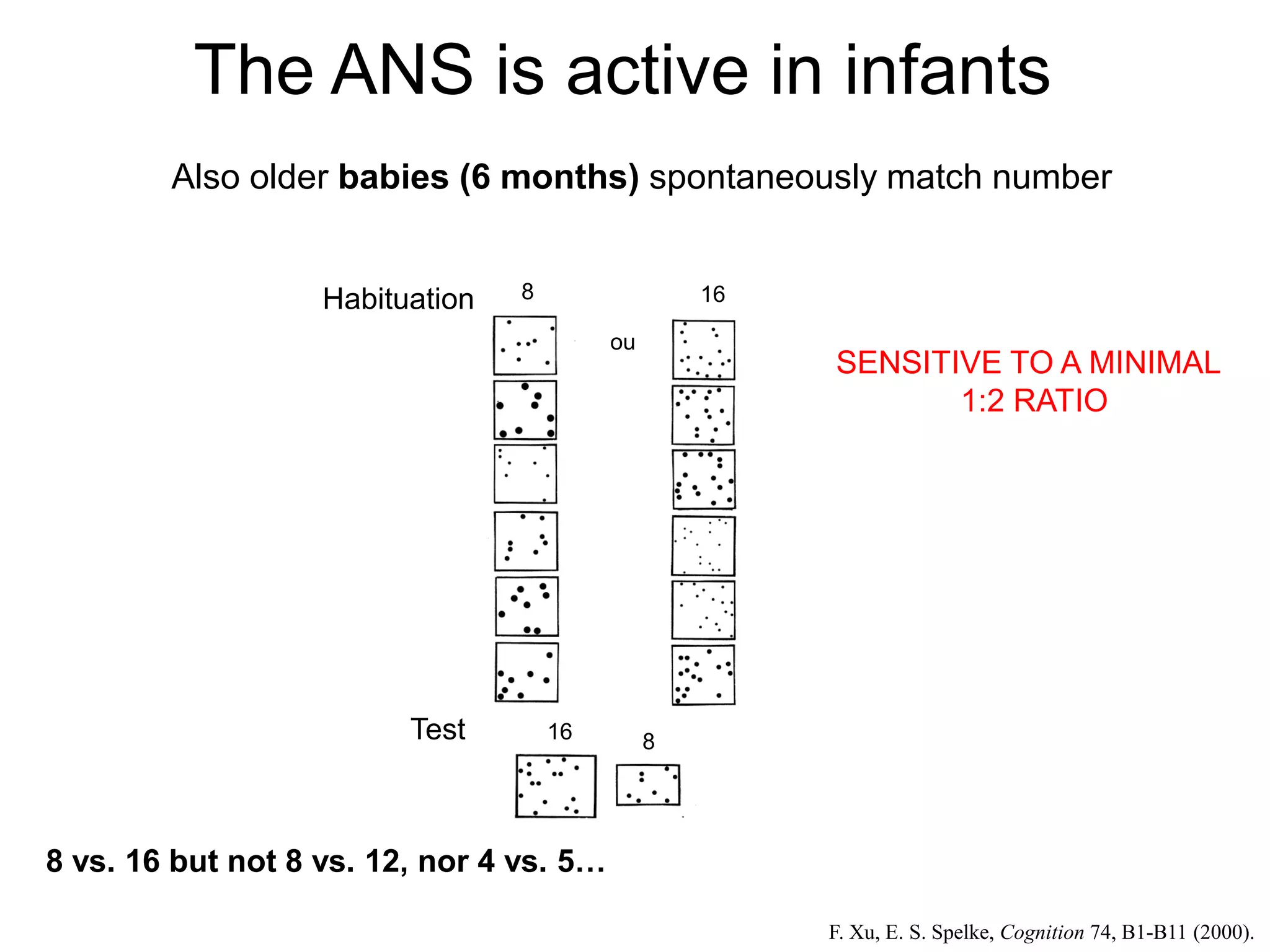 The ANS is active in infants
        Also older babies (6 months) spontaneously match number


                   Habituation   8                 16

                                          ou
                                                        SENSITIVE TO A MINIMAL
                                                               1:2 RATIO




                         Test        16        8




8 vs. 16 but not 8 vs. 12, nor 4 vs. 5…

                                                        F. Xu, E. S. Spelke, Cognition 74, B1-B11 (2000).
 