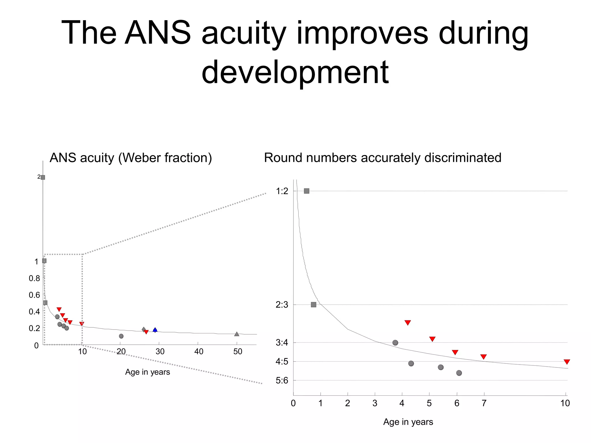 The ANS acuity improves during
               development

      ANS acuity (Weber fraction)          Round numbers accurately discriminated
  2

                                            1:2




 1

0.8

0.6
                                            2:3
0.4

0.2

 0                                          3:4
          10     20       30     40   50
                                            4:5
                  Age in years
                                            5:6

                                                  0   1   2   3      4      5    6   7   10

                                                                  Age in years
 