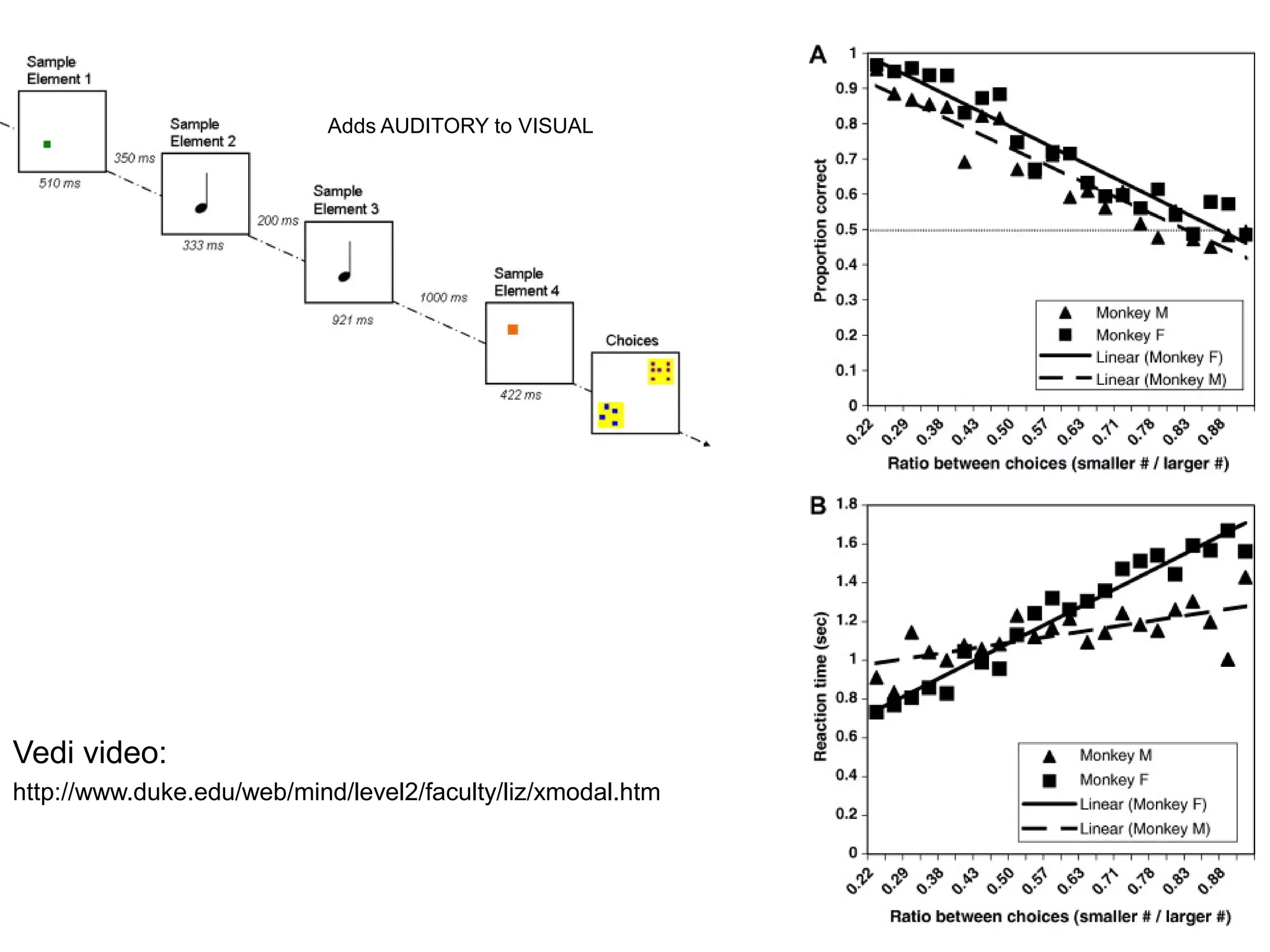 Adds AUDITORY to VISUAL




Vedi video:
http://www.duke.edu/web/mind/level2/faculty/liz/xmodal.htm
 