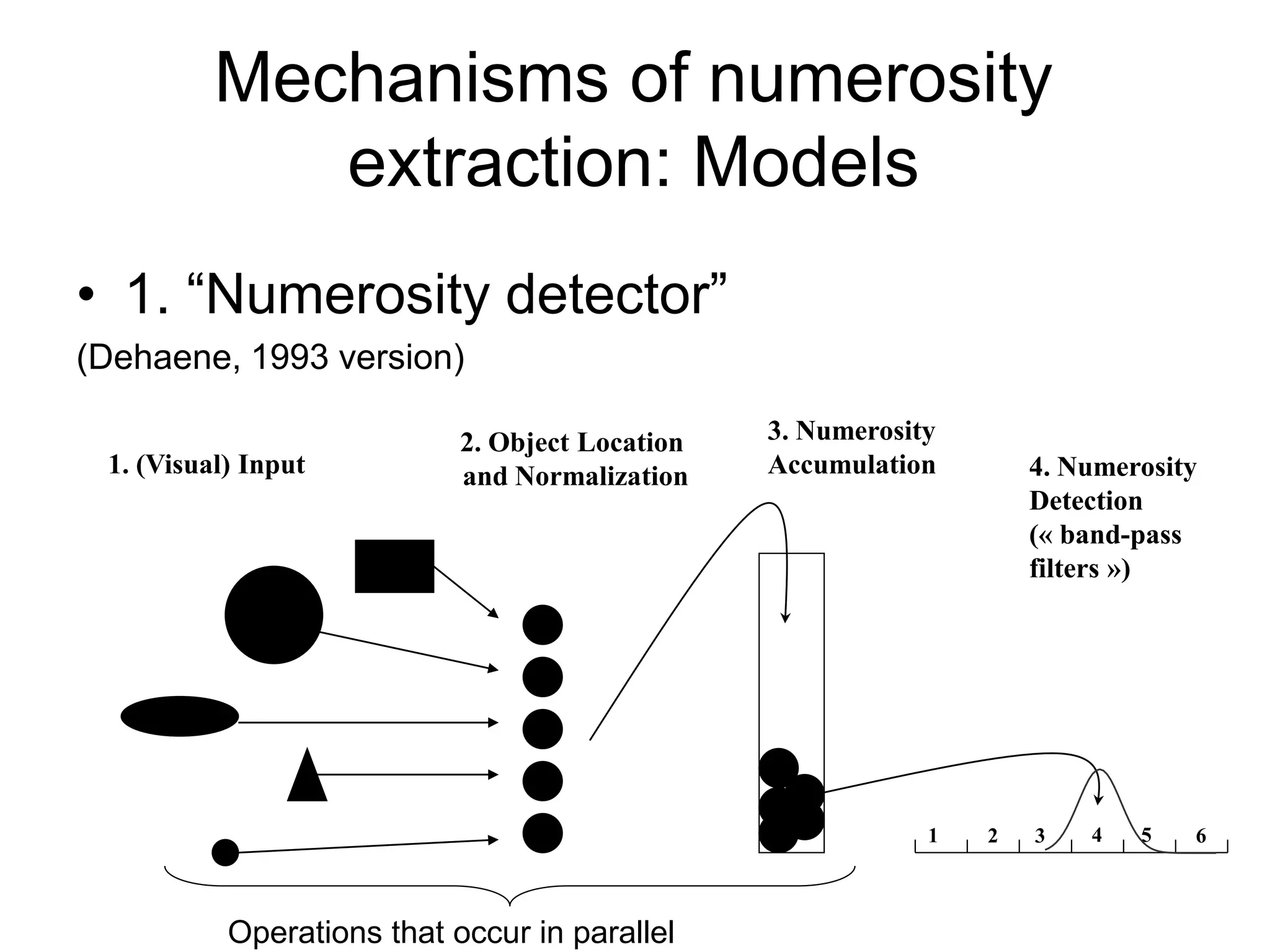 Mechanisms of numerosity
             extraction: Models
• 1. “Numerosity detector”
(Dehaene, 1993 version)

                            2. Object Location   3. Numerosity
 1. (Visual) Input          and Normalization    Accumulation        4. Numerosity
                                                                     Detection
                                                                     (« band-pass
                                                                     filters »)




                                                             1   2   3   4   5   6



           Operations that occur in parallel
 
