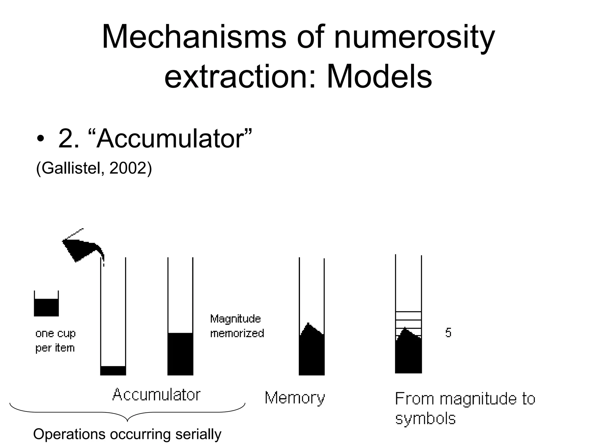 Mechanisms of numerosity
             extraction: Models
• 2. “Accumulator”
(Gallistel, 2002)




Operations occurring serially
 