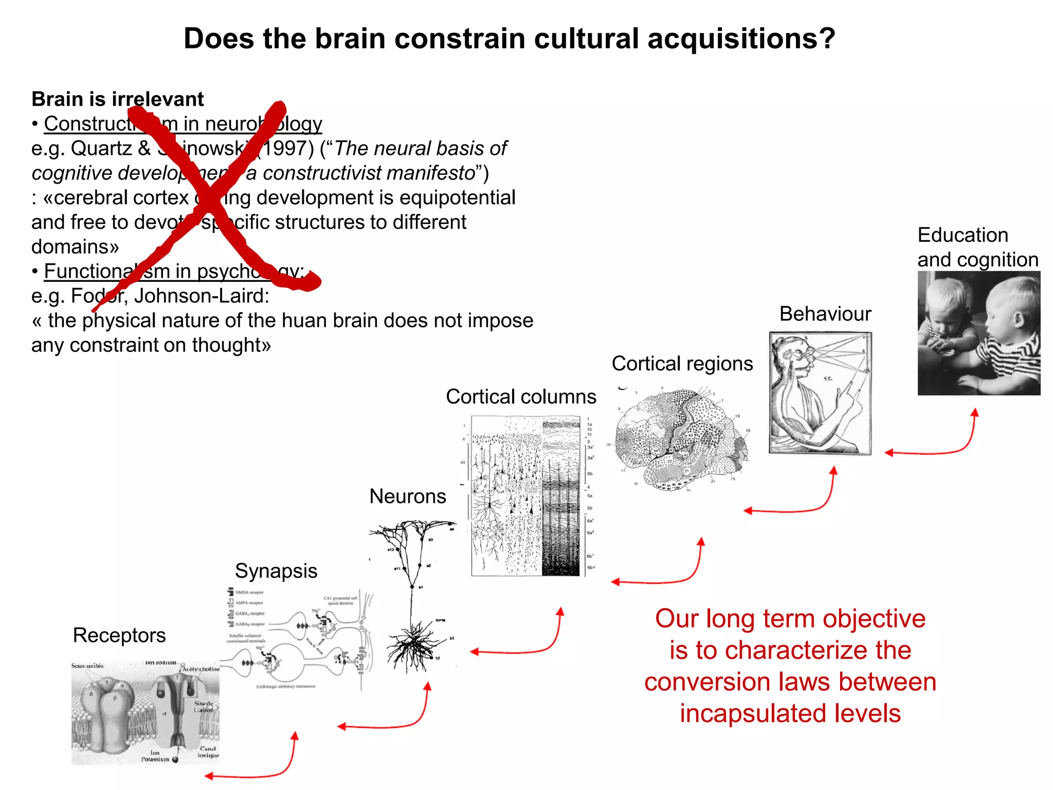 Does the brain constrain cultural acquisitions?
Brain is irrelevant
• Constructivism in neurobiology
e.g. Quartz & Sejnowski (1997) (“The neural basis of
cognitive development: a constructivist manifesto”)
: «cerebral cortex during development is equipotential
and free to devote specific structures to different
                                                                                               Education
domains»
                                                                                               and cognition
• Functionalism in psychology:
e.g. Fodor, Johnson-Laird:
« the physical nature of the huan brain does not impose                            Behaviour
any constraint on thought»
                                                                Cortical regions
                                             Cortical columns



                                    Neurons


                      Synapsis

                                                                    Our long term objective
    Receptors
                                                                     is to characterize the
                                                                   conversion laws between
                                                                      incapsulated levels
 