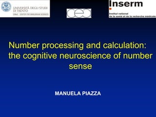Number processing and calculation:
the cognitive neuroscience of number
                sense


           MANUELA PIAZZA
 