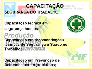 CAPACITAÇÃO
SEGURANÇA DO TRABALHO

Capacitação técnica em
segurança humana;

Capacitação em recomendações
técnicas de Segurança e Saúde no
Trabalho;

Capacitação em Prevenção de
Acidentes com Agrotóxicos;
 
