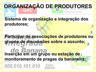 ORGANIZAÇÃO DE PRODUTORES

Sistema de organização e integração dos
produtores;

Participar de associações de produtores ou
grupos de discussões sobre o assunto;

Inserção em um grupo ou estação de
monitoramento de pragas da bananeira;
 
