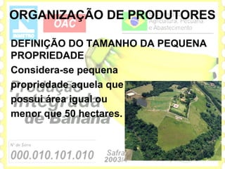 ORGANIZAÇÃO DE PRODUTORES

DEFINIÇÃO DO TAMANHO DA PEQUENA
PROPRIEDADE
Considera-se pequena
propriedade aquela que
possui área igual ou
menor que 50 hectares.
 