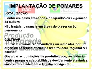 IMPLANTAÇÃO DE POMARES
LOCALIZAÇÃO
Plantar em solos drenados e adequados às exigências
da cultura.
Não instalar bananais em áreas de preservação
permanente.

CULTIVAR
Utilizar cultivares recomendadas ou indicadas por um
órgão de pesquisa oficial, de âmbito local, regional ou
nacional.
Observar as condições de produtividade, resistência
contra pragas e adaptabilidade devidamente atestadas,
em conformidade com a legislação vigente.
 
