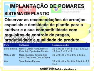 IMPLANTAÇÃO DE POMARES
SISTEMA DE PLANTIO
Observar as recomendações de arranjos
espaciais e densidade de plantio para a
cultivar e a sua compatibilidade com
requisitos de controle de pragas,
produtividade e qualidade do produto.




                 FONTE: EMBRAPA – Mandioca e
 