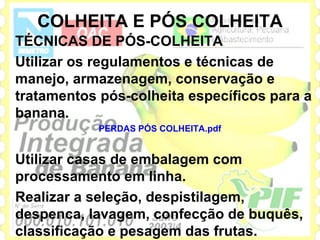 COLHEITA E PÓS COLHEITA
TÉCNICAS DE PÓS-COLHEITA
Utilizar os regulamentos e técnicas de
manejo, armazenagem, conservação e
tratamentos pós-colheita específicos para a
banana.
            PERDAS PÓS COLHEITA.pdf


Utilizar casas de embalagem com
processamento em linha.
Realizar a seleção, despistilagem,
despenca, lavagem, confecção de buquês,
classificação e pesagem das frutas.
 