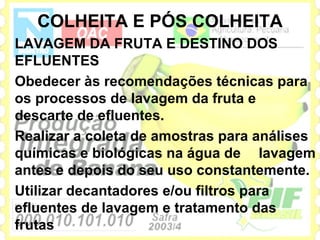 COLHEITA E PÓS COLHEITA
LAVAGEM DA FRUTA E DESTINO DOS
EFLUENTES
Obedecer às recomendações técnicas para
os processos de lavagem da fruta e
descarte de efluentes.
Realizar a coleta de amostras para análises
químicas e biológicas na água de lavagem
antes e depois do seu uso constantemente.
Utilizar decantadores e/ou filtros para
efluentes de lavagem e tratamento das
frutas
 