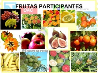 FRUTAS PARTICIPANTES
 