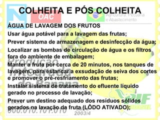 COLHEITA E PÓS COLHEITA
ÁGUA DE LAVAGEM DOS FRUTOS
Usar água potável para a lavagem das frutas;
Prever sistema de armazenagem e desinfecção da água;
Localizar as bombas de circulação de água e os filtros
fora do ambiente de embalagem;
Manter a fruta por cerca de 20 minutos, nos tanques de
lavagem, para estancar a exsudação de seiva dos cortes
e promover o pré-resfriamento das frutas;
Instalar sistema de tratamento do efluente líquido
gerado no processo de lavação;
Prever um destino adequado dos resíduos sólidos
gerados na lavação da fruta (LÔDO ATIVADO);
 
