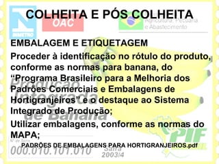 COLHEITA E PÓS COLHEITA

EMBALAGEM E ETIQUETAGEM
Proceder à identificação no rótulo do produto,
conforme as normas para banana, do
“Programa Brasileiro para a Melhoria dos
Padrões Comerciais e Embalagens de
Hortigranjeiros” e o destaque ao Sistema
Integrado de Produção;
Utilizar embalagens, conforme as normas do
MAPA;
  PADRÕES DE EMBALAGENS PARA HORTIGRANJEIROS.pdf
 