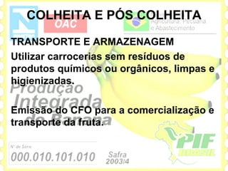 COLHEITA E PÓS COLHEITA

TRANSPORTE E ARMAZENAGEM
Utilizar carrocerias sem resíduos de
produtos químicos ou orgânicos, limpas e
higienizadas.

Emissão do CFO para a comercialização e
transporte da fruta.
 
