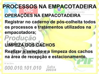 PROCESSOS NA EMPACOTADEIRA
OPERAÇÕES NA EMPACOTADEIRA
Registrar no caderno de pós-colheita todos
os processos e tratamentos utilizados na
empacotadora;

LIMPEZA DOS CACHOS
Realizar a seleção e a limpeza dos cachos
na área de recepção e estacionamento.
 