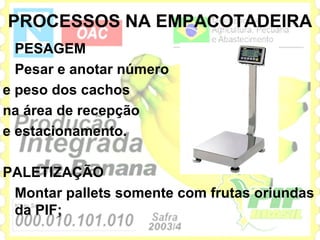 PROCESSOS NA EMPACOTADEIRA
  PESAGEM
  Pesar e anotar número
e peso dos cachos
na área de recepção
e estacionamento.

PALETIZAÇÃO
 Montar pallets somente com frutas oriundas
 da PIF;
 