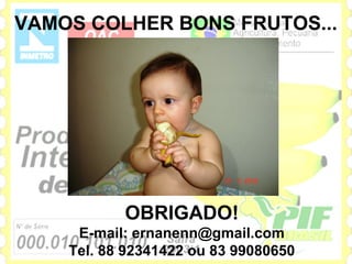 VAMOS COLHER BONS FRUTOS...




           OBRIGADO!
     E-mail: ernanenn@gmail.com
    Tel. 88 92341422 ou 83 99080650
 