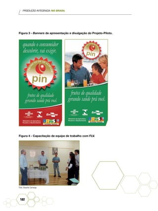 PRODUÇÃO INTEGRADA NO BRASIL
102
Figura 3 - Banners de apresentação e divulgação do Projeto-Piloto.
Figura 4 - Capacitação de equipe de trabalho com FLV.
Foto: Eduardo Camargo.
 
