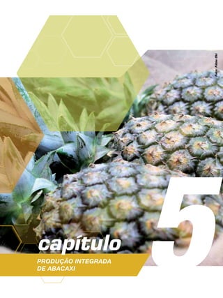 5capítulo
Produção Integrada
de abacaxi
Foto:FábioOki
 