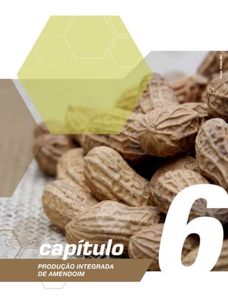 6Produção Integrada
de amendoim
capítulo
Foto:FábioOki
 