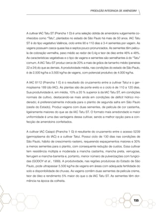 Produção Integrada de amendoim
155
A cultivar IAC Tatu ST (Prancha 1 D) é uma seleção obtida de amendoins vulgarmente co-
nhecidos como “Tatu”, plantados no estado de São Paulo há mais de 50 anos. IAC Tatu
ST é do tipo vegetativo Valência, ciclo entre 90 e 110 dias e 3-4 sementes por vagem. As
vagens possuem casca quase lisa e septos pouco pronunciados. As sementes têm pelícu-
la de coloração vermelha, peso médio ao redor de 0,4g e teor de óleo entre 46% e 48%.
As características vegetativas e o tipo de vagens e sementes são semelhantes à do “Tatu”
comum. A IAC Tatu-ST produz cerca de 20% a mais de grãos de tamanho médio (peneiras
22 e 24) do que as demais. A produtividade média, nas condições do estado de São Paulo,
é de 2.500 kg/ha a 3.500 kg/ha de vagens, com potencial produtivo de 4.000 kg/ha.
A IAC 8112 (Prancha 1 E) é o resultado do cruzamento entre a cultivar Tatuí e o ger-
moplasma 189 (do IAC). As plantas são de porte ereto e o ciclo é de 110 a 120 dias.
Sua produtividade é, em média, 10% a 20 % superior à da IAC Tatu ST, em condições
normais de cultivo, destacando-se mais ainda em condições de déficit hídrico mo-
derado; é preferencialmente indicada para o plantio de segunda safra em São Paulo
(oeste do Estado). Produz vagens com duas sementes, de película de cor castanha,
ligeiramente maiores do que as da IAC Tatu ST. O formato mais arredondado e maior
uniformidade é uma das vantagens dessa cultivar, sendo a melhor opção para a con-
fecção de amendoins confeitados.
A cultivar IAC Caiapó (Prancha 1 G) é resultante do cruzamento entre o acesso 5239
(germoplasma do IAC) e a cultivar Tatuí. Possui ciclo de 130 dias nas condições de
São Paulo, hábito de crescimento rasteiro, requerendo espaçamentos maiores e 30%
a menos sementes para o plantio, com consequente redução de custos. Essa cultivar
tem resistência múltipla e moderada a mancha castanha, mancha preta, verrugose,
ferrugem e mancha-barrenta e, portanto, menor número de pulverizações com fungici-
das (GODOY et al., 1999). A produtividade, nas regiões produtoras do Estado de São
Paulo, pode ultrapassar 5.500 kg/ha de vagens em áreas com adequada fertilidade do
solo e disponibilidade de chuvas. As vagens contêm duas sementes de película creme,
teor de óleo e rendimento 5% maior do que o da IAC Tatu ST. As sementes têm dor-
mência na época da colheita.
 