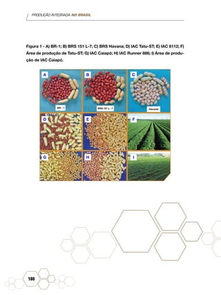 PRODUÇÃO INTEGRADA NO BRASIL
180
Figura 1 - A) BR-1; B) BRS 151 L-7; C) BRS Havana; D) IAC Tatu-ST; E) IAC 8112; F)
Área de produção de Tatu-ST; G) IAC Caiapó; H) IAC Runner 886; I) Área de produ-
ção de IAC Caiapó.
A
D
G H
E
B
I
F
C
 