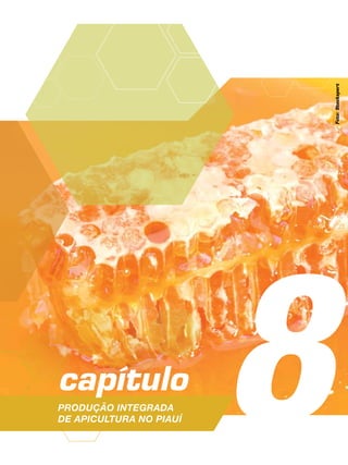 8capítulo
Produção Integrada
de apicultura no Piauí
Foto:Stockxpert
 