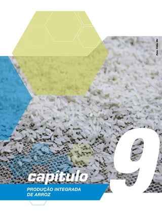9Produção Integrada
de arroz
capítulo
Foto:FábioOki
 
