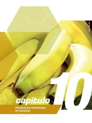 10capítulo
Produção Integrada
de banana
Foto:FábioOki
 