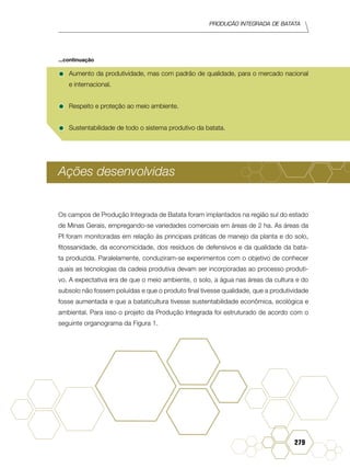 Produção Integrada de batata
279
•	Aumento da produtividade, mas com padrão de qualidade, para o mercado nacional
e internacional.
•	Respeito e proteção ao meio ambiente.
•	Sustentabilidade de todo o sistema produtivo da batata.
Ações desenvolvidas
Os campos de Produção Integrada de Batata foram implantados na região sul do estado
de Minas Gerais, empregando-se variedades comerciais em áreas de 2 ha. As áreas da
PI foram monitoradas em relação às principais práticas de manejo da planta e do solo,
fitossanidade, da economicidade, dos resíduos de defensivos e da qualidade da bata-
ta produzida. Paralelamente, conduziram-se experimentos com o objetivo de conhecer
quais as tecnologias da cadeia produtiva devam ser incorporadas ao processo produti-
vo. A expectativa era de que o meio ambiente, o solo, a água nas áreas da cultura e do
subsolo não fossem poluídas e que o produto final tivesse qualidade, que a produtividade
fosse aumentada e que a bataticultura tivesse sustentabilidade econômica, ecológica e
ambiental. Para isso o projeto da Produção Integrada foi estruturado de acordo com o
seguinte organograma da Figura 1.
...continuação
 