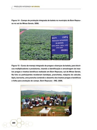 PRODUÇÃO INTEGRADA NO BRASIL
322
Figura 14 - Campo de produção integrada de batata no município de Bom Repou-
so no sul de Minas Gerais. 2006.
Figura 15 - Curso de manejo integrado de pragas e doenças da batata, para técni-
cos multiplicadores e produtores, visando a identificação e amostragem de inse-
tos pragas e insetos benéficos realizado em Bom Repouso, sul de Minas Gerais.
Na foto os participantes receberam bandejas, pranchetas, máquina de calcular,
lápis, borracha, uma prancha contendo o desenho dos insetos pragas e benéficos
e folha para anotação de campo. Bom Repouso – MG. 2006.
 