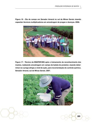 Produção Integrada de batata
323
Figura 16 - Dia de campo em Senador Amaral no sul de Minas Gerais visando
capacitar técnicos multiplicadores em amostragem de pragas e doenças. 2008.
Figura 17 - Técnico da EMATER/MG após o treinamento de reconhecimento dos
insetos, realizando amostragem em campo de batata do produtor, visando deter-
minar se a praga atingiu o nível de ação, para recomendação do controle químico.
Senador Amaral, sul de Minas Gerais. 2007.
 