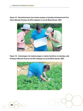 PRODUÇÃO INTEGRADA NO BRASIL
324
Figura 18 - Reconhecimento dos insetos-pragas na bandeja ministrado pelo Pro-
fessor Marcelo Picanço da UFV, realizado no sul de Minas Gerais. 2007.
Figura 19 - Amostragem de insetos-pragas e insetos benéficos na bandeja, pelo
Professor Marcelo Picanço da UFV, realizado no sul de Minas Gerais. 2007.
 