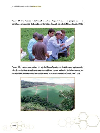 PRODUÇÃO INTEGRADA NO BRASIL
326
Figura 22 - Produtores de batata efetuando contagem dos insetos-pragas e insetos
benéficos em campo de batata em Senador Amaral, no sul de Minas Gerais. 2008.
Figura 23 - Lavoura de batata no sul de Minas Gerais, conduzida dentro da legisla-
ção de proteção e respeito de nascentes. Observe que o plantio da batata segue um
padrão de curvas de nível desfavorecendo a erosão. Senador Amaral – MG. 2007.
 