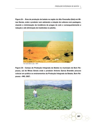 Produção Integrada de batata
327
Figura 24 - Área de produção de batata na região do Alto Paranaíba (Ibiá) em Mi-
nas Gerais, onde o produtor vem adotando a rotação de culturas com pastagem,
visando a minimização da incidência de pragas do solo e consequentemente a
redução e até eliminação de inseticidas no plantio.
Figura 25 - Campo de Produção Integrada da Batata no município de Bom Re-
pouso, sul de Minas Gerais onde o produtor Antonio Garcia Brandão procura
colocar em prática os ensinamentos da Produção Integrada da Batata. Bom Re-
pouso – MG. 2007.
Foto Carlos Alberto Lopes - CNPH
 