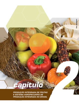 PRODUÇÃO INTEGRADA DE FRUTAS
E SISTEMA AGROPECUÁRIO DE
PRODUÇÃO INTEGRADA NO BRASIL
2capítulo
Foto:Stockxpert
 