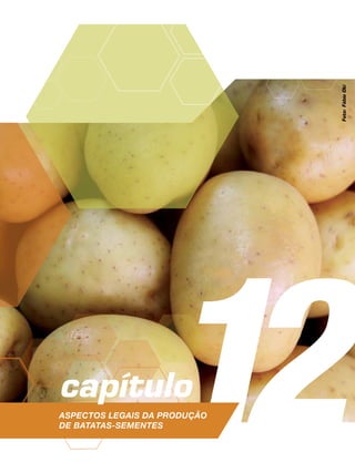 12capítulo
Aspectos legais da produção
de batatas-sementes
Foto:FábioOki
 