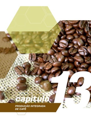 13Foto:FábioOki
Produção Integrada
de café
capítulo
 