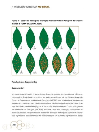 PRODUÇÃO INTEGRADA NO BRASIL
382
Figura 2 - Escala de notas para avaliação da severidade da ferrugem do cafeeiro
(ESKES & TOMA-BRAGHINI, 1981).
0
0%
1
0,35%
2
0,7% 7%
3
1,4%
4
2,7%
5
5,7%
6
10,9%
7
18,0%
8
27,9%
9
42,1%
Resultado dos Experimentos
Experimento 1
No presente experimento, o aumento das doses de potássio em parcelas que não rece-
beram aplicação de fungicida mostrou um ligeiro aumento nos valores de Área Abaixo da
Curva de Progresso da Incidência de Ferrugem (AACPIF) e na incidência de ferrugem na
véspera da colheita em 2007, porém esses efeitos não foram significativos pelo teste F, ao
nível de 5% de probabilidade (Figuras 4, 5.A e 5.B). A Área Abaixo da Curva de Progresso
da Severidade da Ferrugem (AACPSF), em 2006, teve uma correlação positiva com as
doses de potássio nas parcelas que receberam aplicação de fungicida. Apesar de não ter
sido significativa, essa correlação foi ocasionada por um aumento significativo da carga
 
