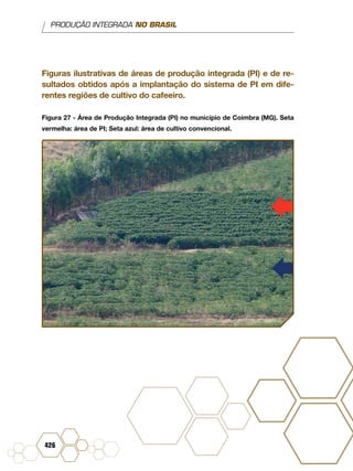 PRODUÇÃO INTEGRADA NO BRASIL
426
Figuras ilustrativas de áreas de produção integrada (PI) e de re-
sultados obtidos após a implantação do sistema de PI em dife-
rentes regiões de cultivo do cafeeiro.
Figura 27 - Área de Produção Integrada (PI) no município de Coimbra (MG). Seta
vermelha: área de PI; Seta azul: área de cultivo convencional.
 