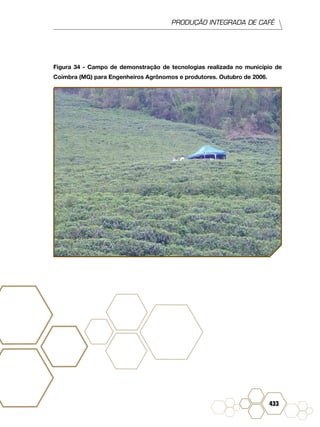 PRODUÇÃO INTEGRADA DE CAFÉ
433
Figura 34 - Campo de demonstração de tecnologias realizada no município de
Coimbra (MG) para Engenheiros Agrônomos e produtores. Outubro de 2006.
 