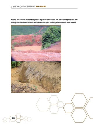 PRODUÇÃO INTEGRADA NO BRASIL
434
Figura 35 - Bacia de contenção da água de erosão de um cafezal implantado em
topografia muito inclinada. Recomendado pela Produção Integrada do Cafeeiro.
 