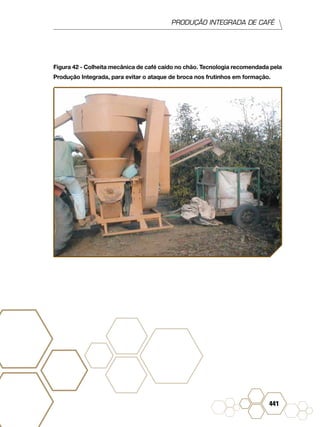 PRODUÇÃO INTEGRADA DE CAFÉ
441
Figura 42 - Colheita mecânica de café caído no chão. Tecnologia recomendada pela
Produção Integrada, para evitar o ataque de broca nos frutinhos em formação.
 